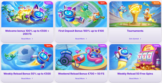 RoboCat Casino – Bonus Offer for Everyone