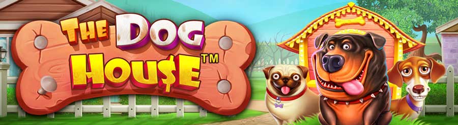 40 Free Spins at Cactus Casino with Just €/$1 Deposit